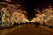 berlin christmas illumination in unter den linden