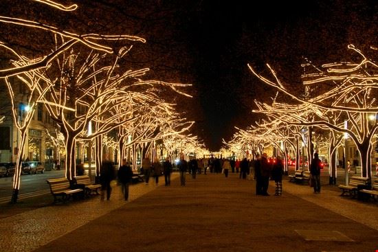 Unter den Linden LianeM - ©Shutterstock LianeM - ©Shutterstock LianeM - ©Shutterstock