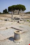capaccio paestum