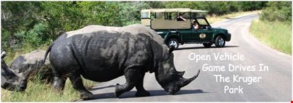 kruger park1