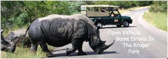 kruger park1 kruger park1