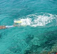 Cozumel Diving Cozumel Diving