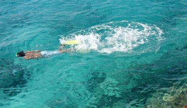 Cozumel Diving Cozumel Diving