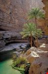 muscat wadi bani khalid