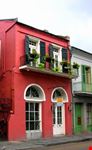 new orleans source maple tree art