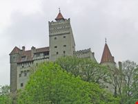brasov source lockstockbob