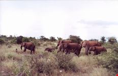 windhoek 2n