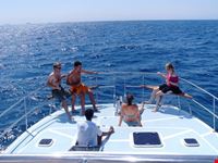 The boat