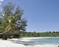 praslin sand beach with palm trees