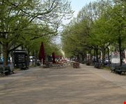 berlin unter den linden
