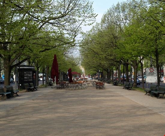 Unter den Linden c. - ©Shutterstock c. - ©Shutterstock c. - ©Shutterstock
