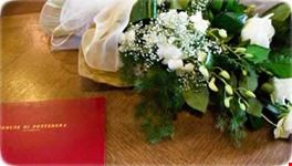 lucca wedding