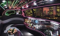 dallas limo in dallas