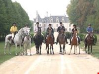 Horseback Riding Tours2