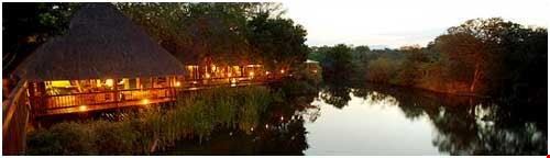 kruger park2