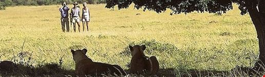 nairobi tour and safari2