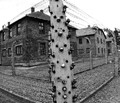 Auschwitz - Birkenau