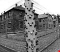 Auschwitz - Birkenau Auschwitz - Birkenau