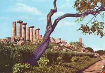 Tempio di Ercole