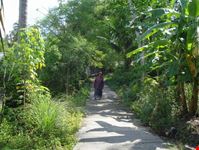 phuket koh lone