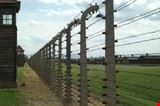 concentration camp