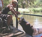 Wheelchair traveller Misha with Jessica the Hippo Wheelchair traveller Misha with Jessica the Hippo