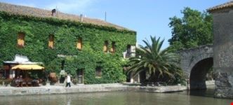 montpellier 4