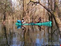 bucharest canoeing