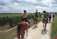 Horseback Riding Tours4