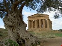 Tempio della Concordia