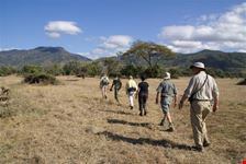 lusaka walking