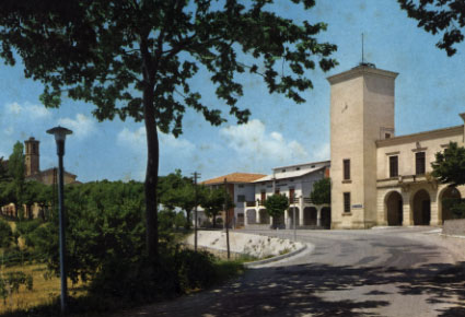 maiolati spontini
