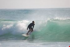 Surfer