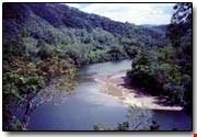 Bloomfield River