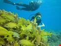sharm el sheikh tours in sharm el sheikh