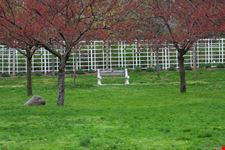 Brooklyn Botanic Garden