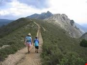 alicante abdet2