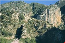 alicante abdet3