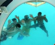 new york fun on a seasurf n snorkel tour