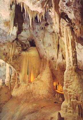 Grand Canyon, Canne d'organo