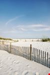 pensacola landscape of sand fence