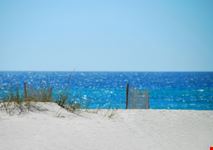 pensacola sand dune and fence on beach