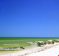 Tropical seashore Tropical seashore