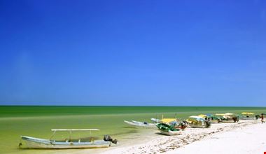 Tropical seashore Tropical seashore