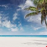 miami matheson hammock park beach