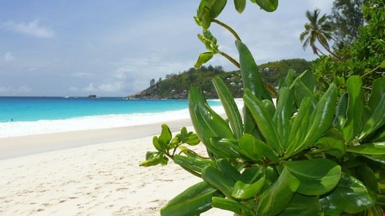  Praslin David Koester 
©Shutterstock  David Koester 
©Shutterstock 