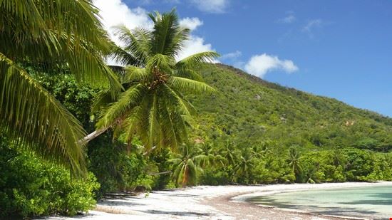  Praslin David Koester
©Shutterstock  David Koester
©Shutterstock 