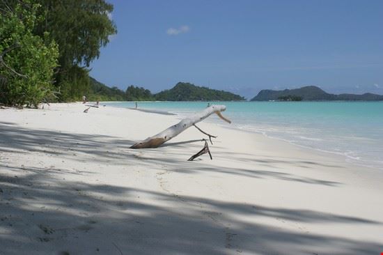  Praslin Luca Grandinetti
©Shutterstock  Luca Grandinetti
©Shutterstock 