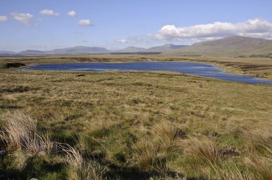 Connemara National Park Galway Autore: upthebanner 
Fonte: ©Shutterstock  Autore: upthebanner 
Fonte: ©Shutterstock 