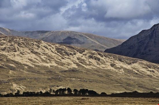 Connemara National Park Galway upthebanner 
©Shutterstock  upthebanner 
©Shutterstock 